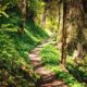The Growing Adventure of Hiking Trail Enthusiasts