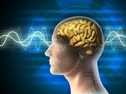 Books for intellectual, Books for intellectuals, Books for intellectual growth, Books for intellectual people, Books for intellectual development, Books for intellectual readers
