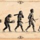 what was darwin's theory of evolution what was theory lamarck's of evolution what was wallace's theory of evolution what was cuvier's theory of evolution what was aristotle theory of evolution
