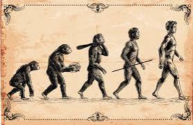 what was darwin's theory of evolution what was theory lamarck's of evolution what was wallace's theory of evolution what was cuvier's theory of evolution what was aristotle theory of evolution